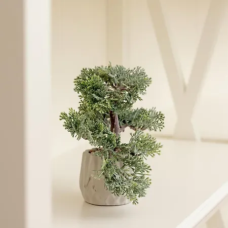 Appartamento Elegancki Z Tarasem I Ogrodem W Sopocie By Rent Like